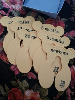New Baby Bear Monthly Dividers