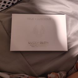 Bronze And Highlight Pallette