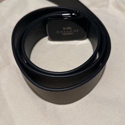 Large brown coach belt