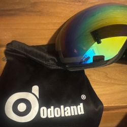 Snow goggles