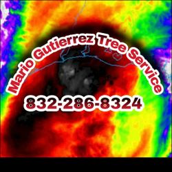 🌀 Hurricane Season 🌀 Firewood