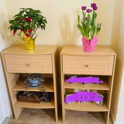 Plant Shelf Organizers Stand 