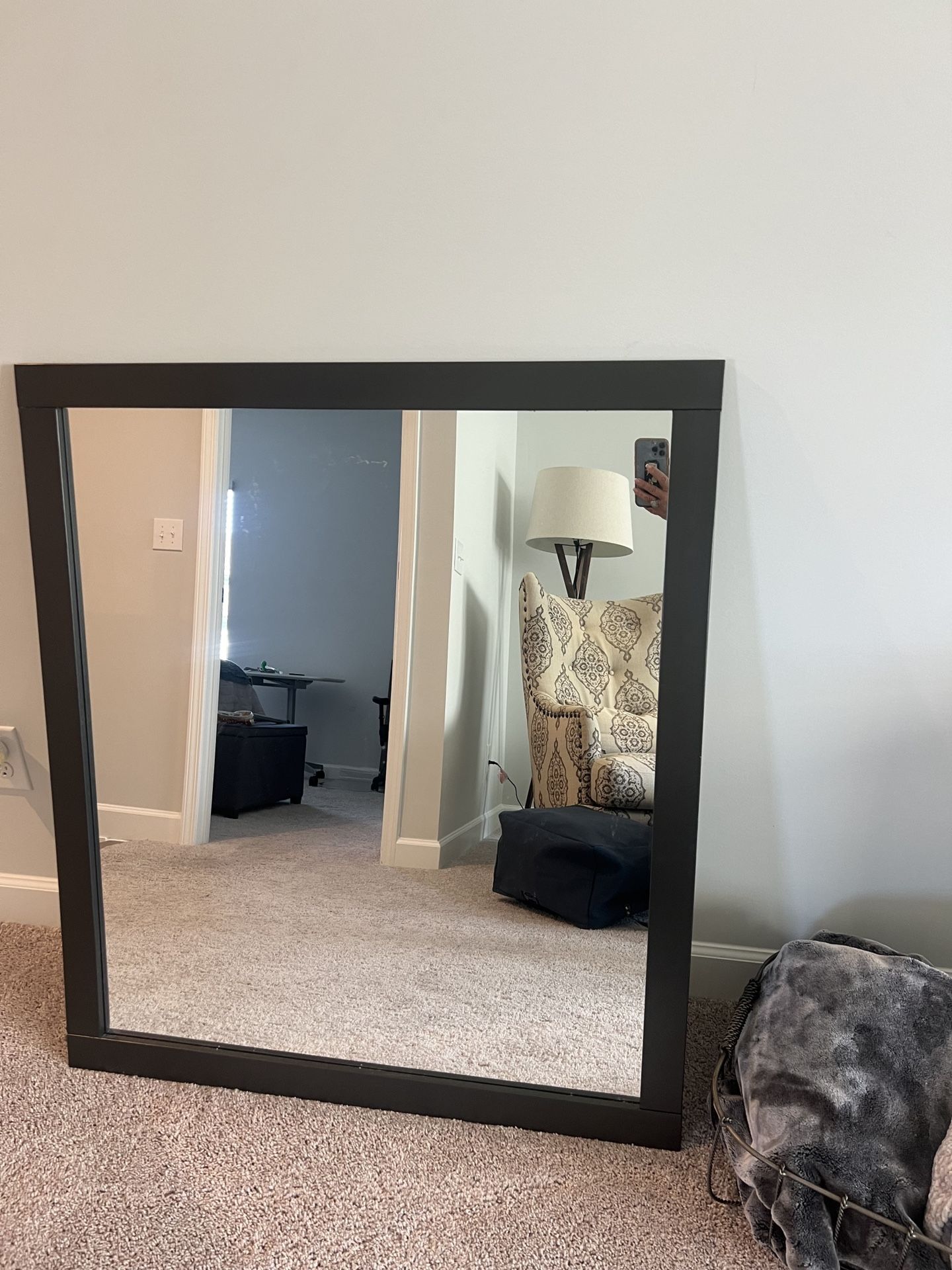 Gorgeous Black Pulaski Wall Mirror