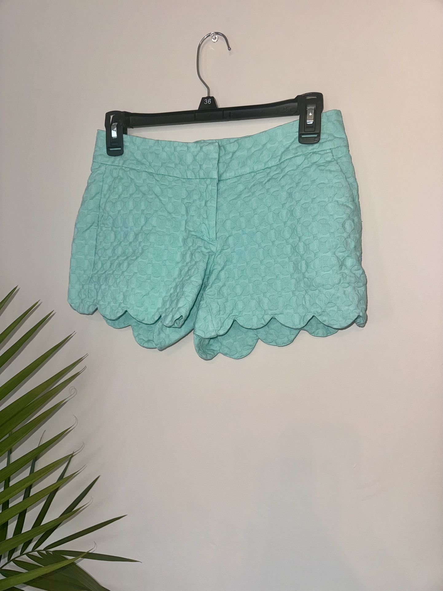 Crown & Ivy Scalloped Shorts 