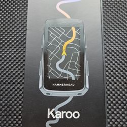 Hammerhead Karoo Bike Computer