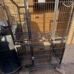 Kennels