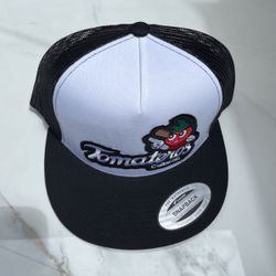 $20 Snapback