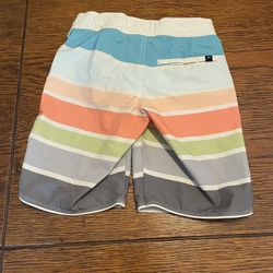 Art Class Swim Trunks 
