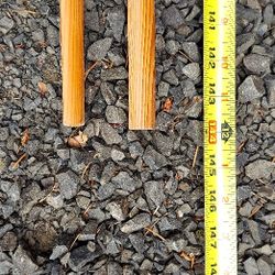 Fir Quarter Round Base Molding 
