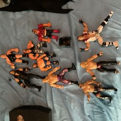 WWE Wrestlers