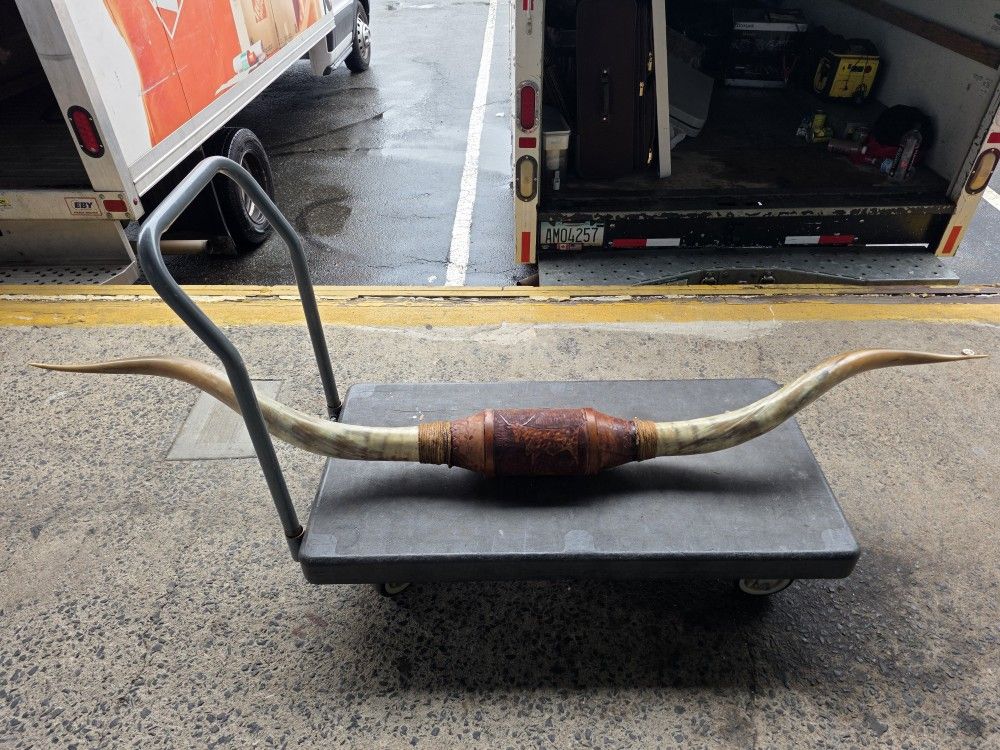 Brown Leather Mount // XL Longhorns