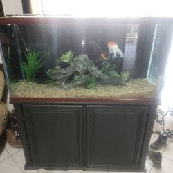 100 Gal Fish Tank W Stand