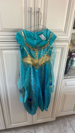 Disney Princess Jasmine Costume