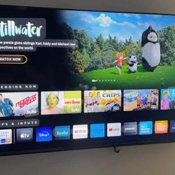 Vizio Smart 4k Tv D55x-g1 