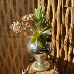 Mercury Glass Apothecary Jar Vase Round Silver Lid Storage Decor Accent Plant Pot Distress Farm Boho