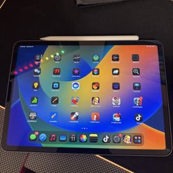 iPad Pro 11inch 4th Gen 