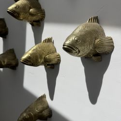 10 Cb2 Stan The Goldfish 