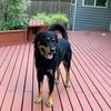Tina