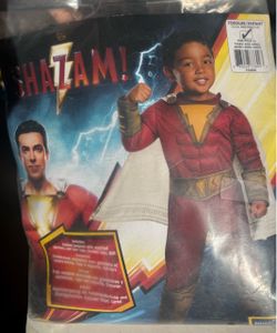 Toddler Halloween Costume