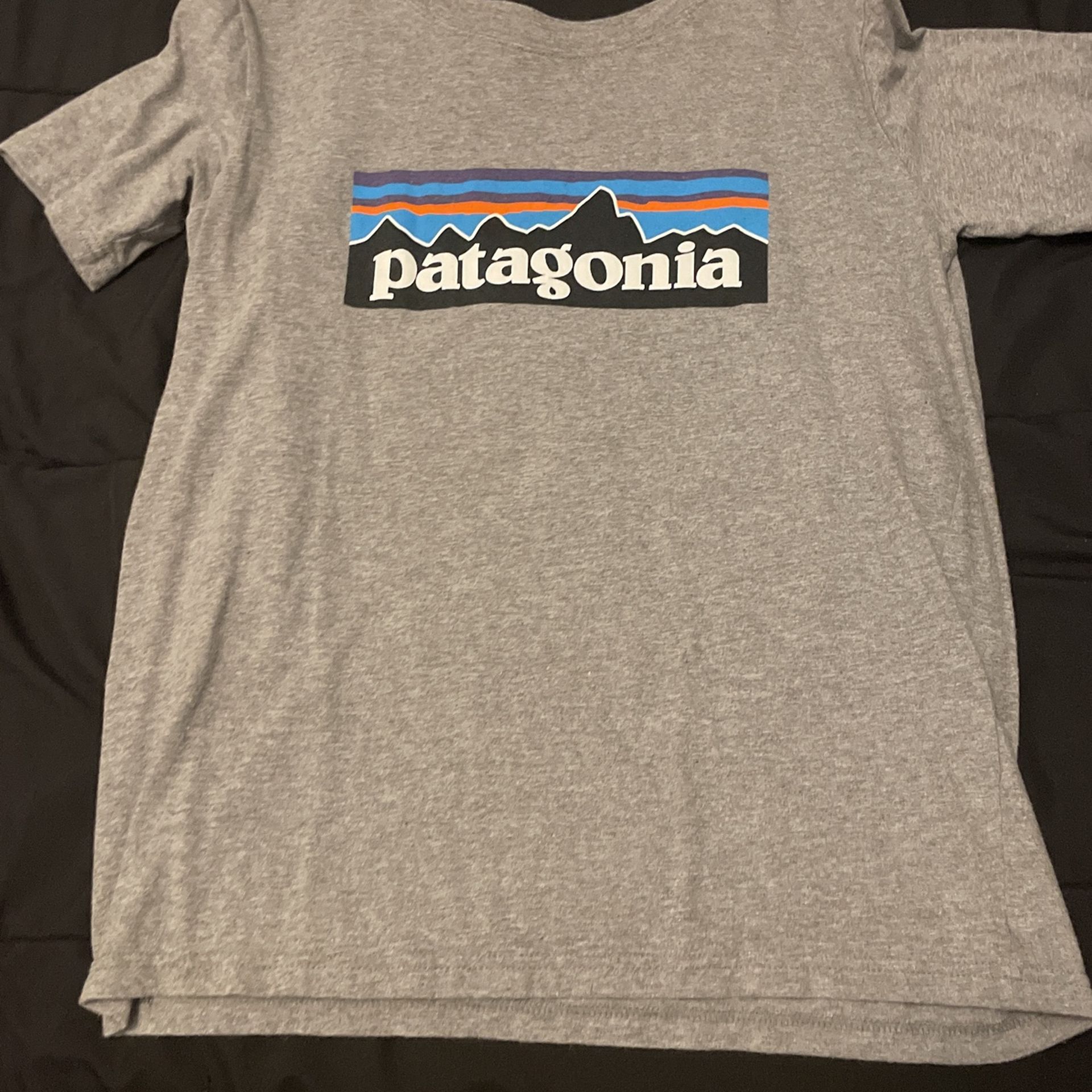 patagonia shirt