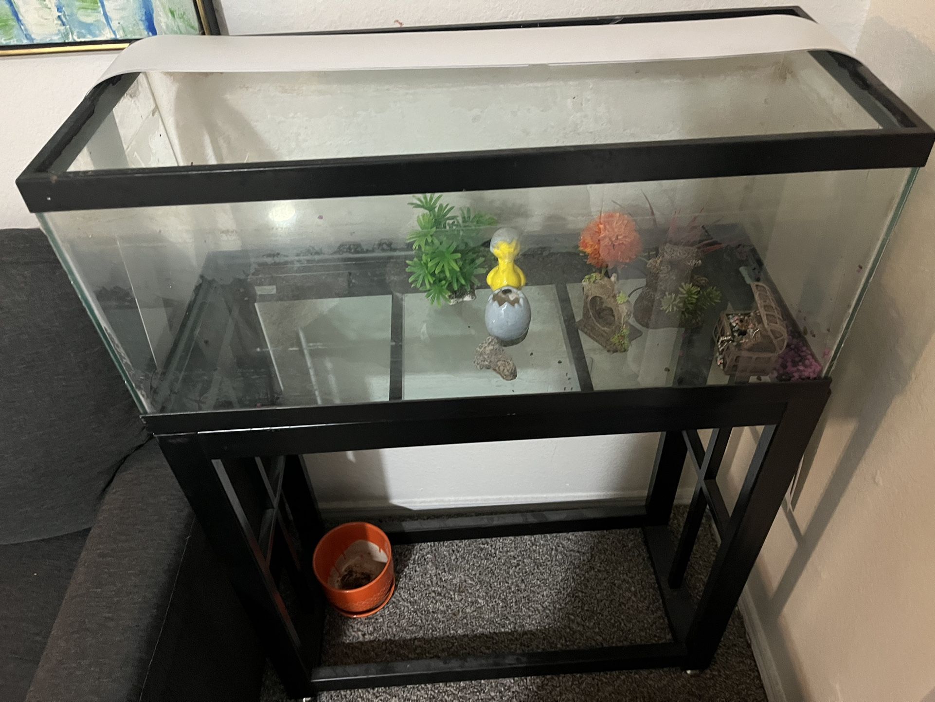 Big Fish Tank 5 Gallon