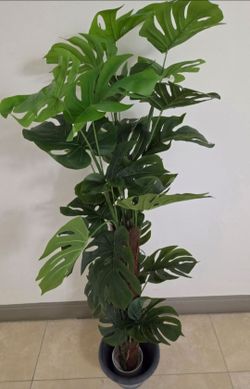 *** SPECIAL *** 62" Faux Monstera in a Blue Circle Planter @ Lasting Creations