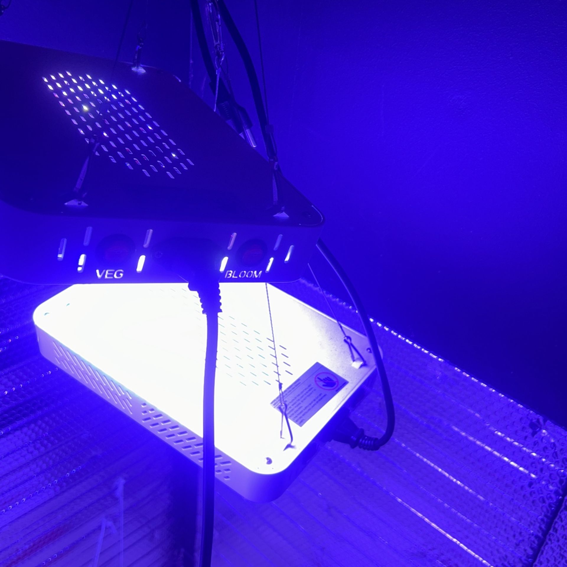 Three Grow Lights, All Work