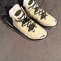 LeBron 18s Size 11.5
