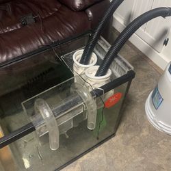Aquarium Sump With Overflow  Thumbnail