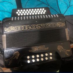 Button Accordion Brand New