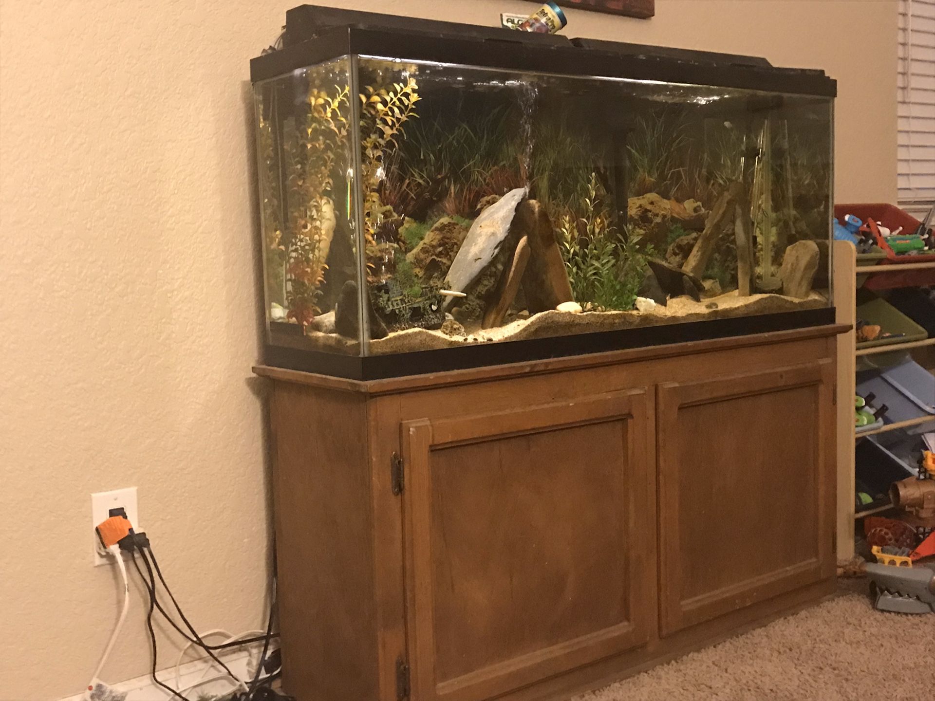 55 gallon complete with extras Fish Tank