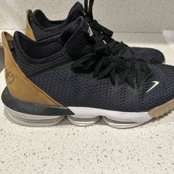 LeBron James Nike shoes