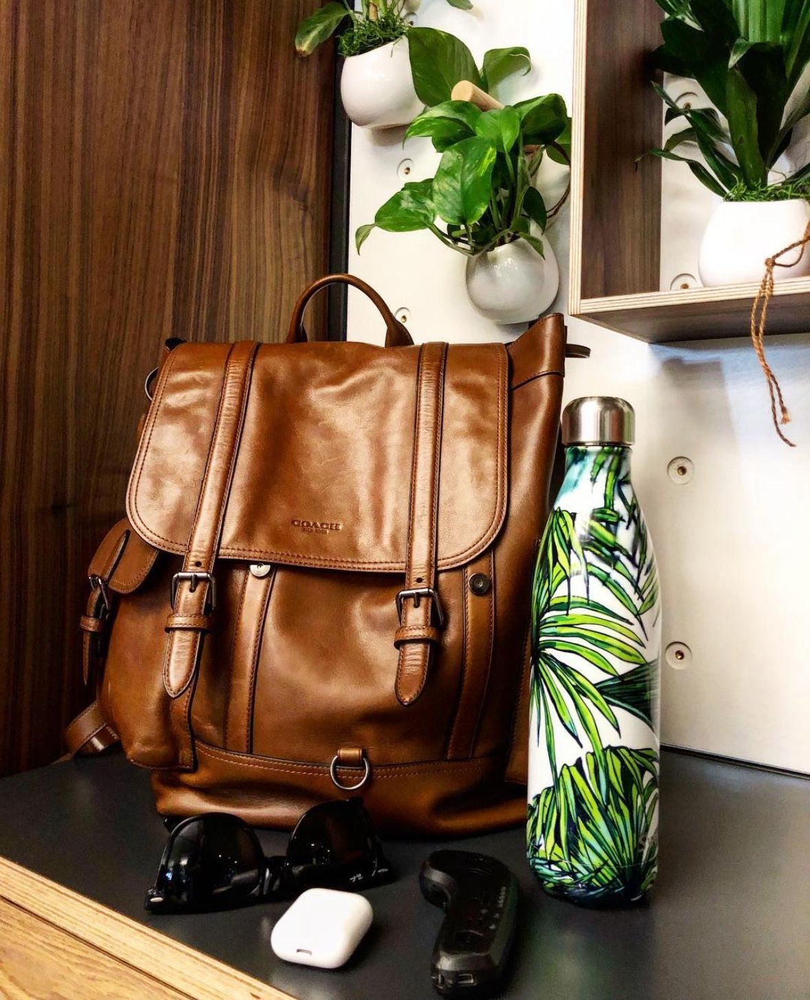 Coach Hitch bag