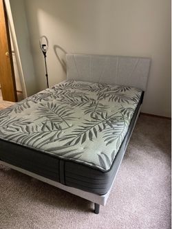 Bed plus mattress