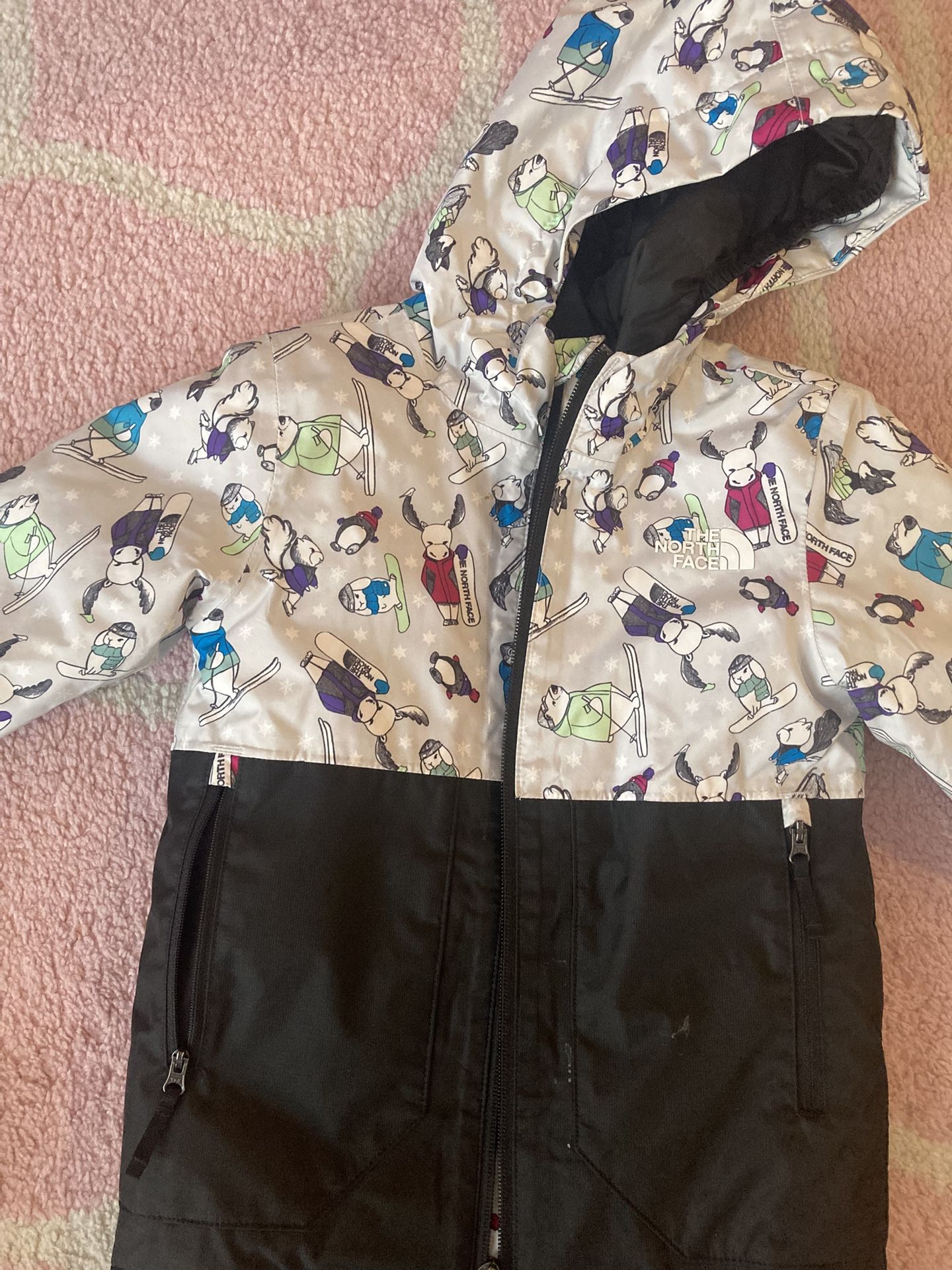 Snow Jacket For 5T North Face $20