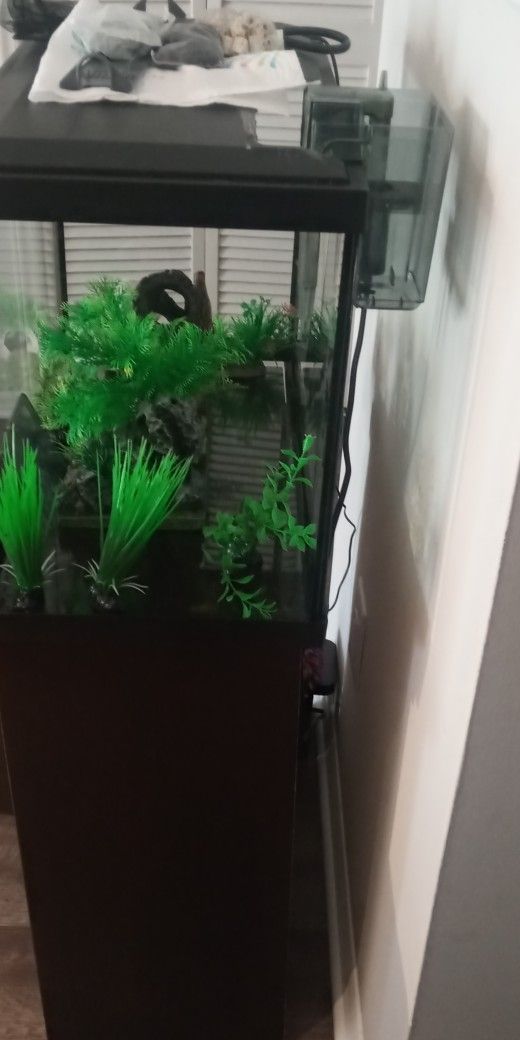 20 Gal aquarium INCLUDES EVERYTHING!!