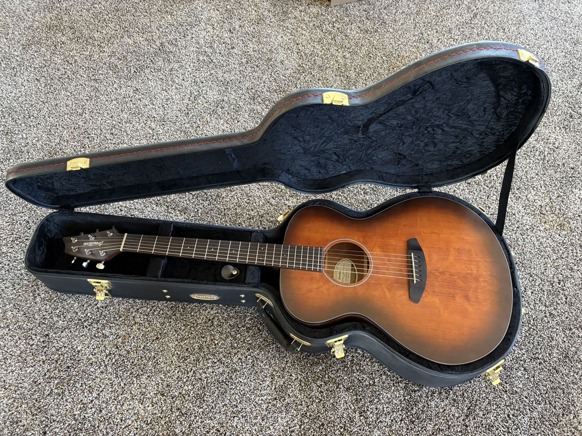 Guitar With Hard Case and Stand