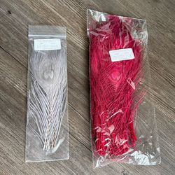 Peacock Feathers for Crafts - Brand New