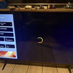 43” Vizio Tv
