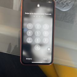 IPHONE XR / W CRACK ON BACK