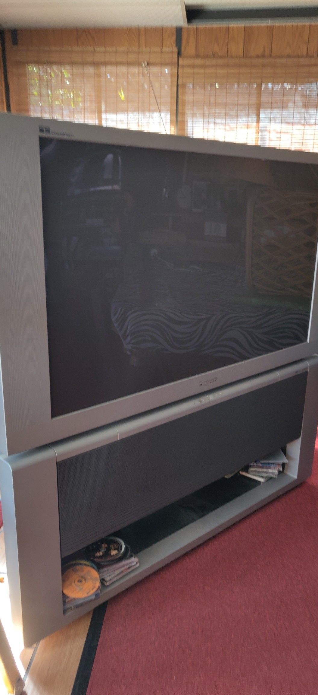 Panasonic Big screen TV