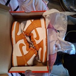 New Size 12 Nike Dunk Hi Retro Se
