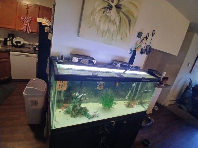 75 Gallon Aquarium