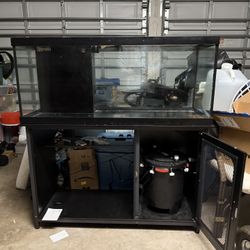 75 Gallon aquarium With Stand And Filter