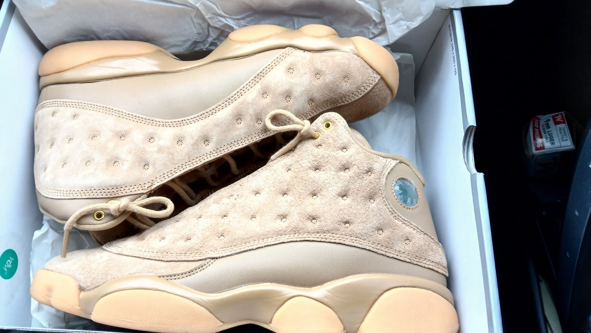Jordan 13