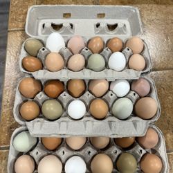 Filled Egg Cartons! 