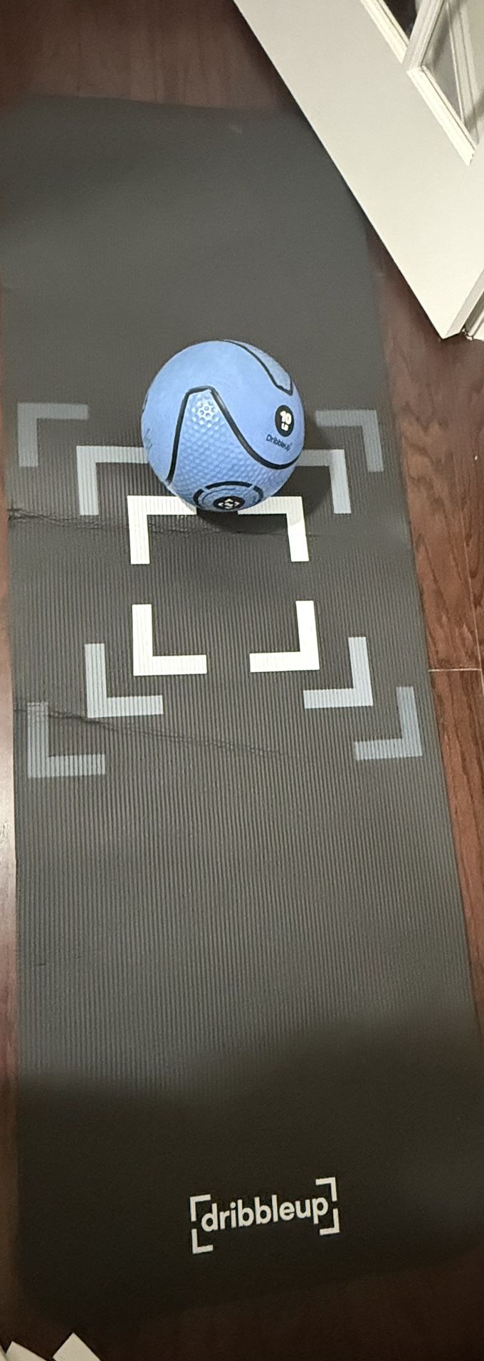 Dribble Up 10lb Smart Ball With Cushioned Mat 