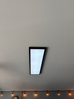 LED Panel Light Black Frame 48x12 inch