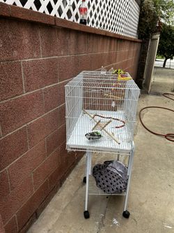 Birds Cage