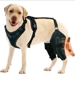 Adjustable Knee Brace for Dogs Back Legs XL